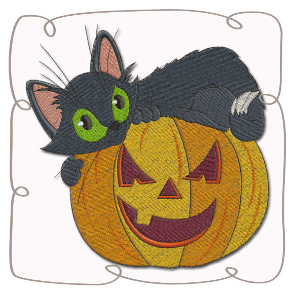 Cat on Pumpkin