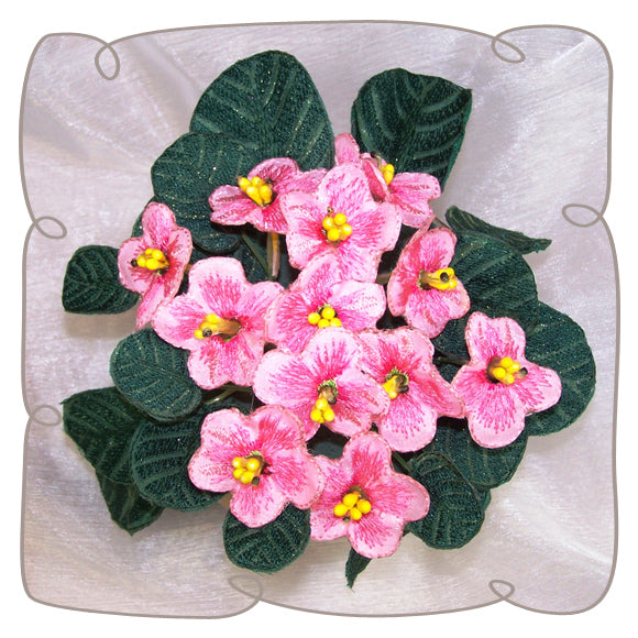 Pink Fabric African Violet
