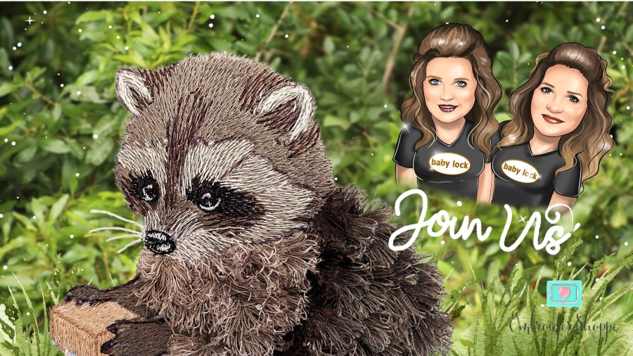 4 x 6 Walter Raccoon