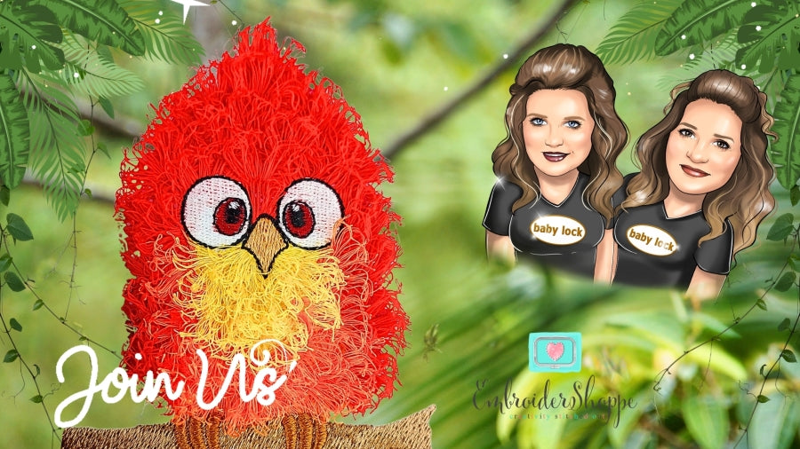 5 x 7 Funky Feathers