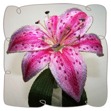 Stargazer Lily