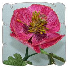 Pink Poppy 2