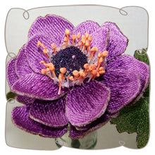 Purple Anemone