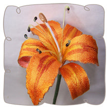 Orange Day Lily