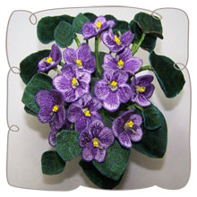 Purple African Violets