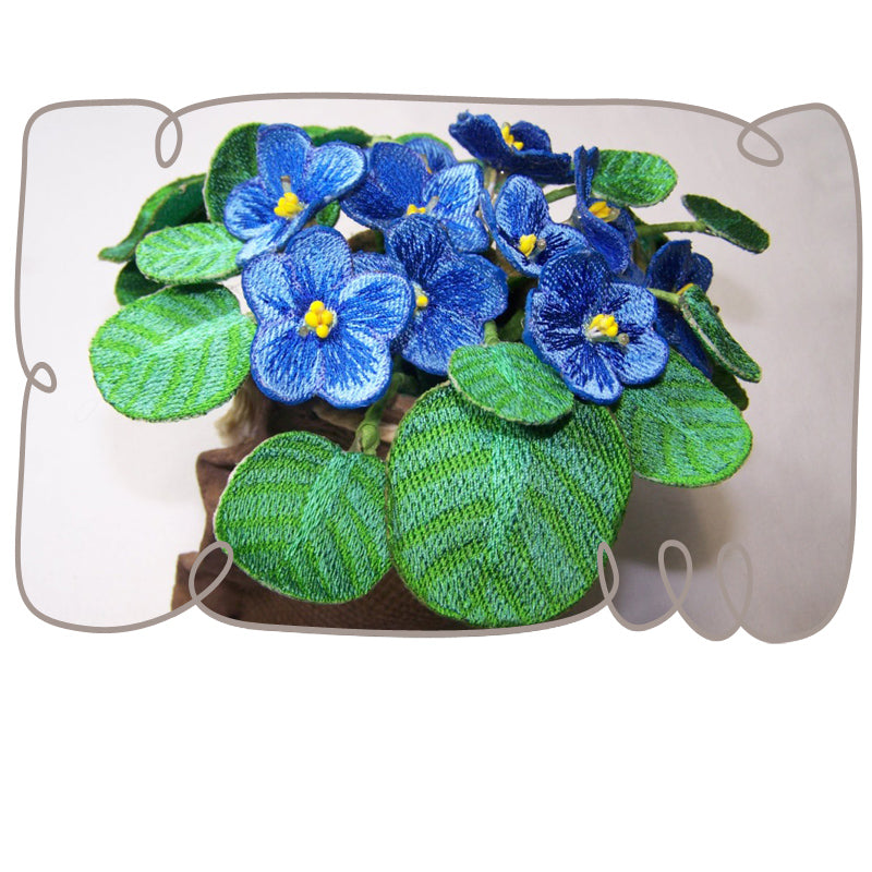 Blue African Violet