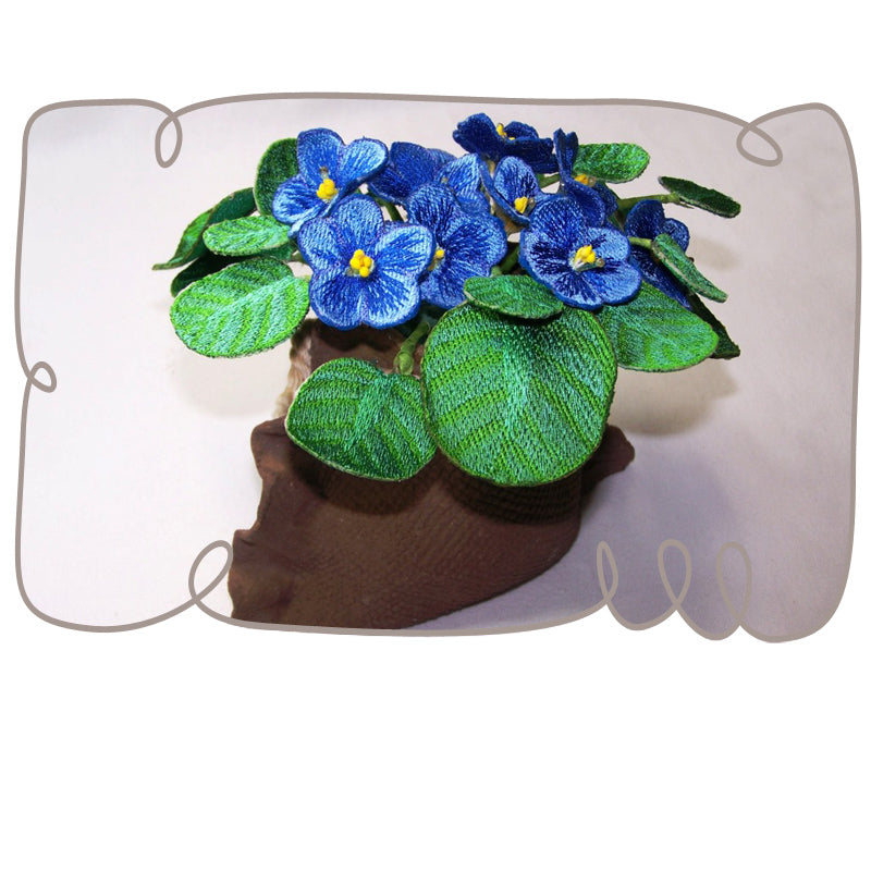 Blue African Violet