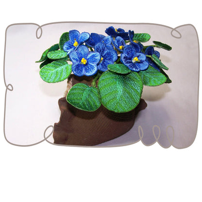 Blue African Violet