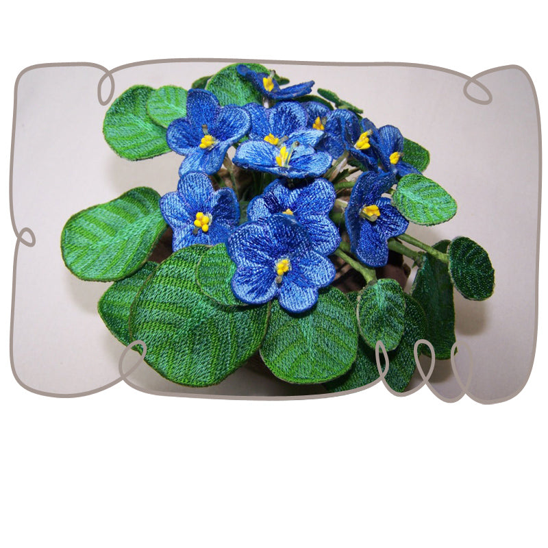 Blue African Violet