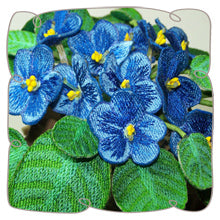 Blue African Violet