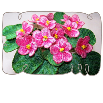 Pink African Violets