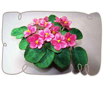 Pink African Violets
