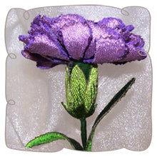 Lilac Carnation