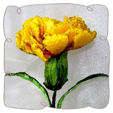 Yellow Carnation