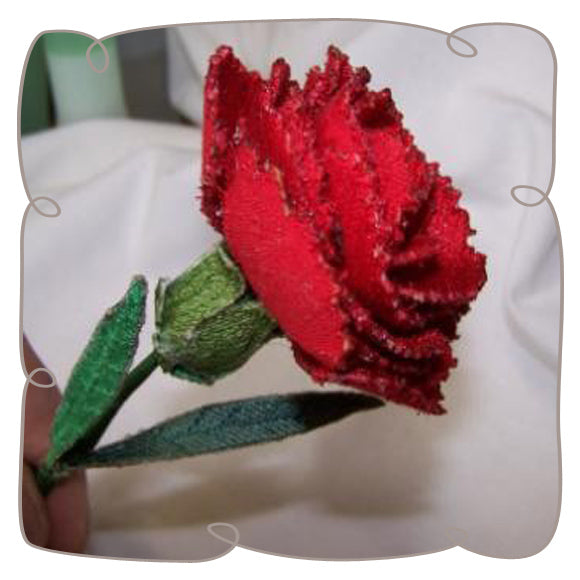 3D Red Carnation