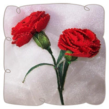 3D Red Carnation
