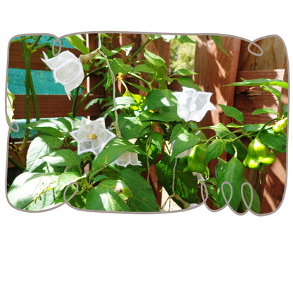 3D Lily of the Valley String Lights