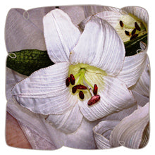 Fabric Saint Joseph Lily