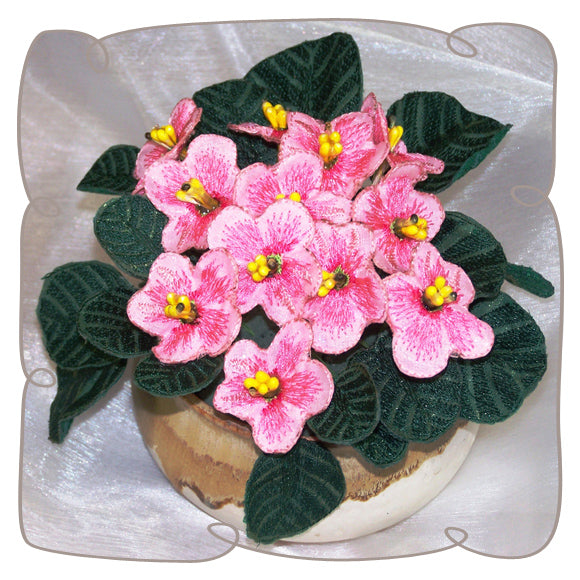 Pink Fabric African Violet