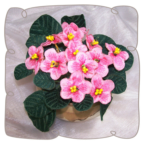 Pink Fabric African Violet