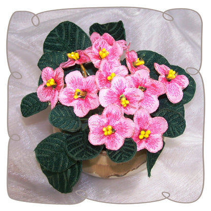 Pink Fabric African Violet