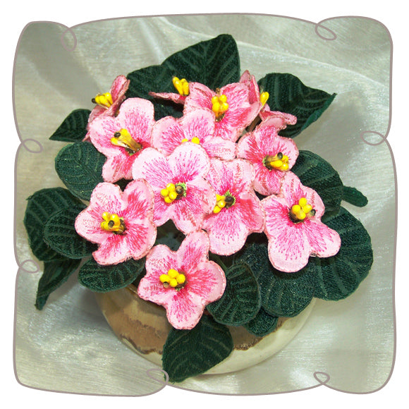 Pink Fabric African Violet