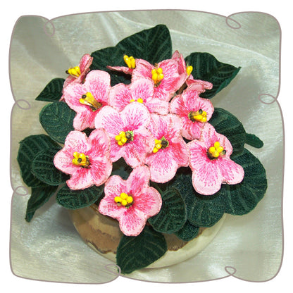 Pink Fabric African Violet