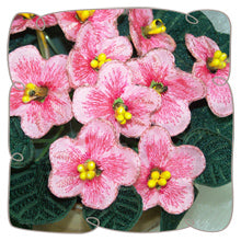 Pink Fabric African Violet