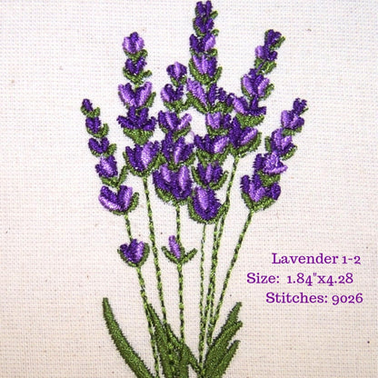 Lavender Fields 1