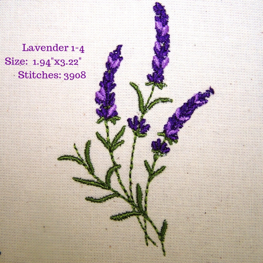 Lavender Fields 1