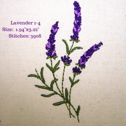 Lavender Fields 1