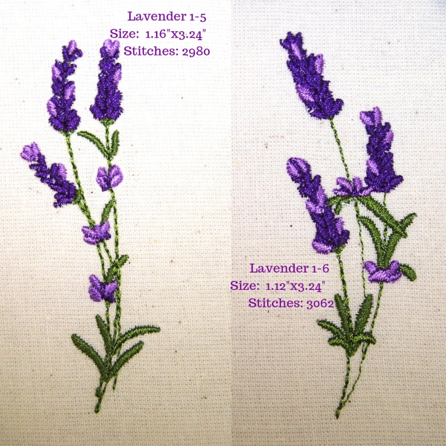 Lavender Fields 1
