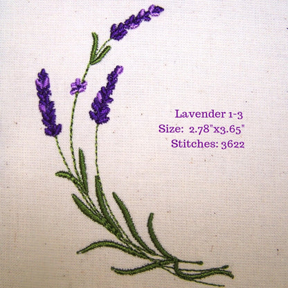 Lavender Fields 1