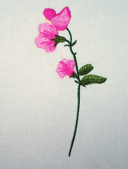 Sweet Peas and Butterflies