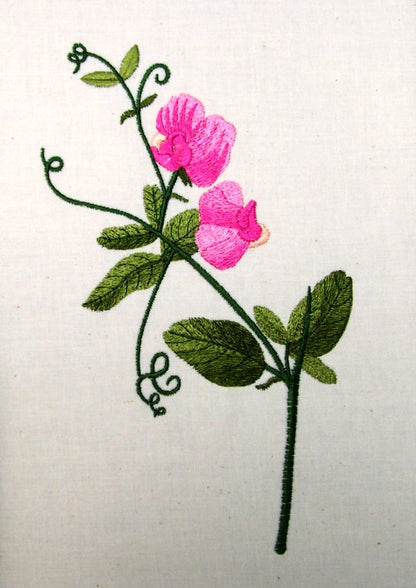 Sweet Peas and Butterflies