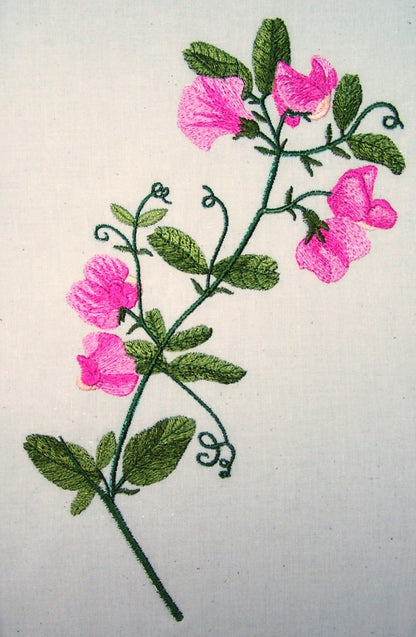 Sweet Peas and Butterflies