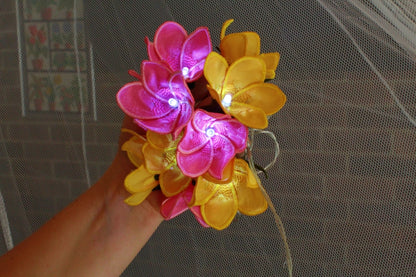 Frangipani String Lights