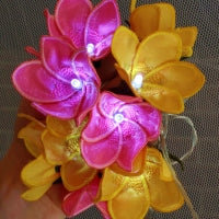 Frangipani String Lights