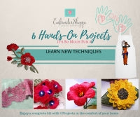 2 Day Hands On Projects