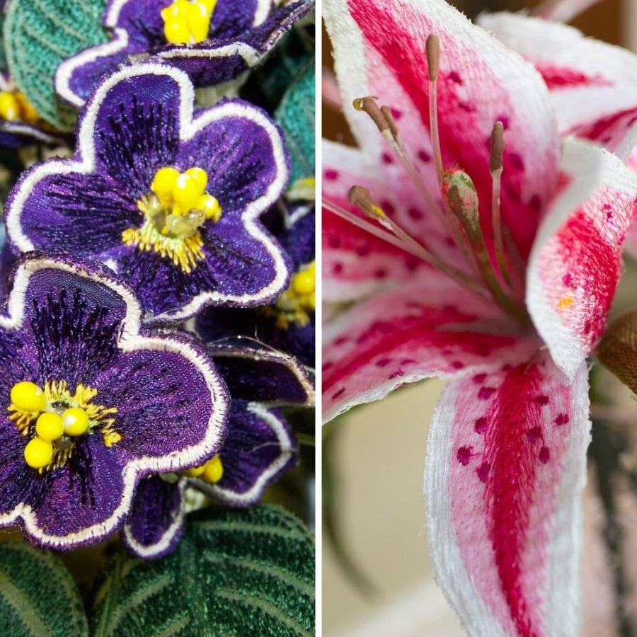 Stargazer and African Violet FABRIC COMBO