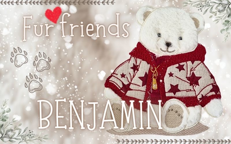Benjamin Bear Webinar SET