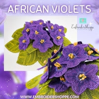 Mothers Day African Violets