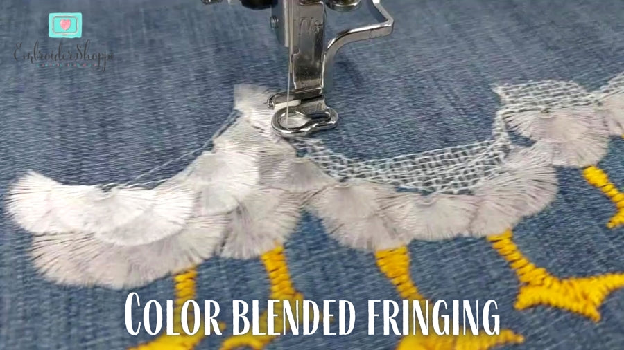 4x6 Goose On The Loose