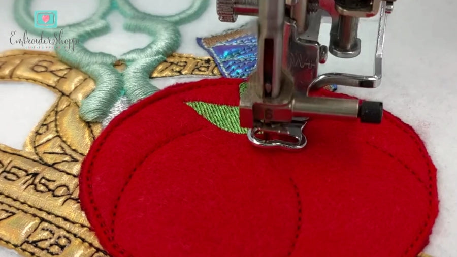 4 x 6 3D Tomato Pincushion Fun