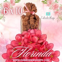 6 X 10 Florinda