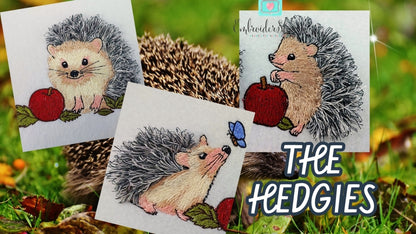 4 x 6 The Hedgies