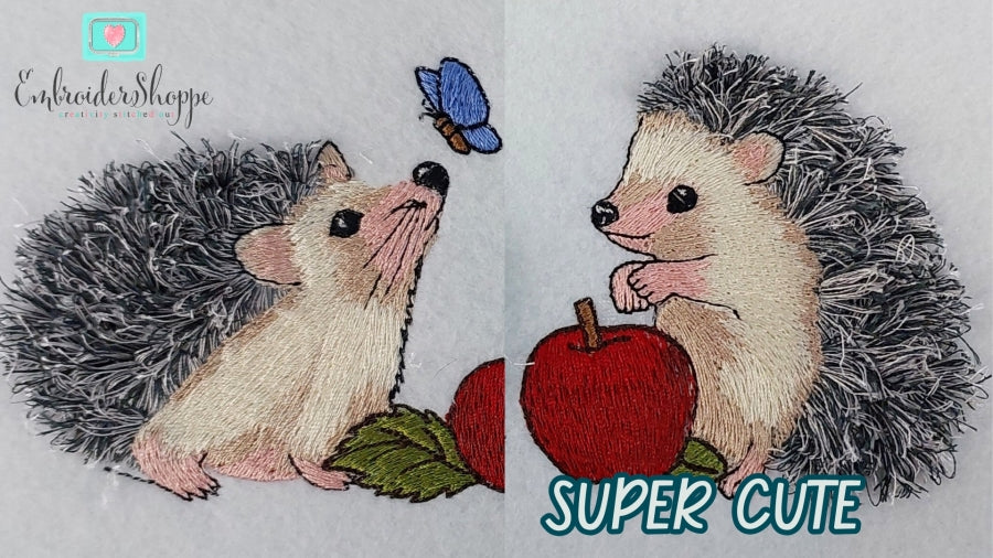 4 x 6 The Hedgies