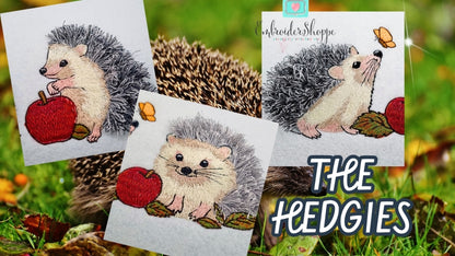 4 x 6 The Hedgies