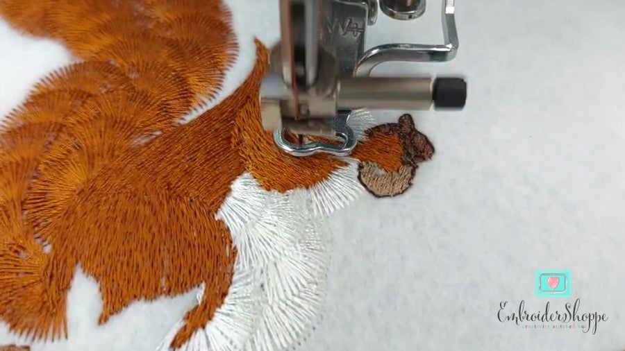 4 x 6 Cyril Squirrel