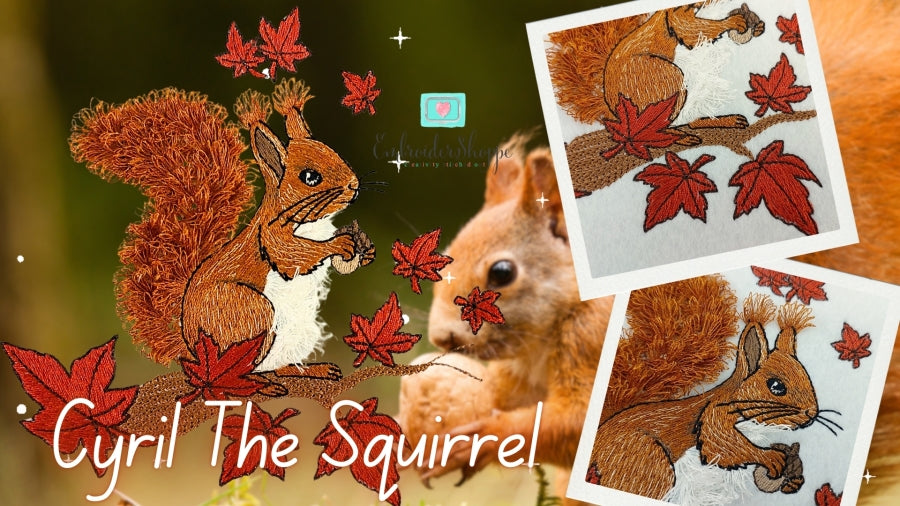 4 x 6 Cyril Squirrel